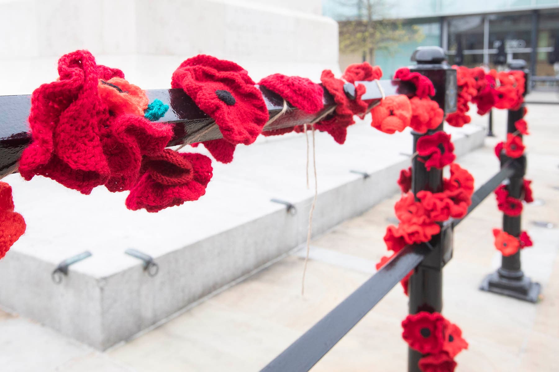 Tribute to Armed Forces and Veterans As We Remember and Reflect