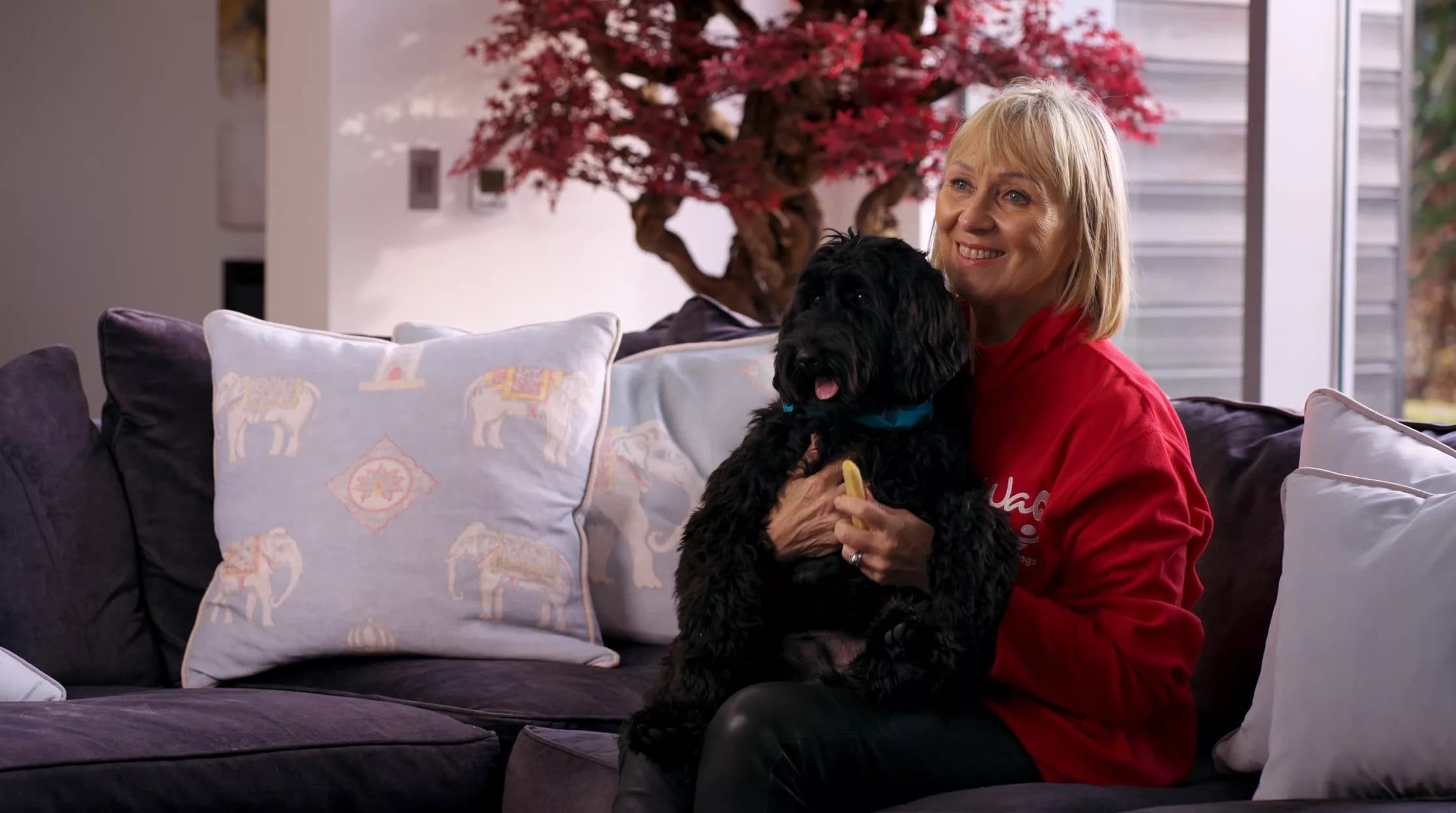 North East Dog Charity Scoops European Award for Tackling Loneliness with Pets