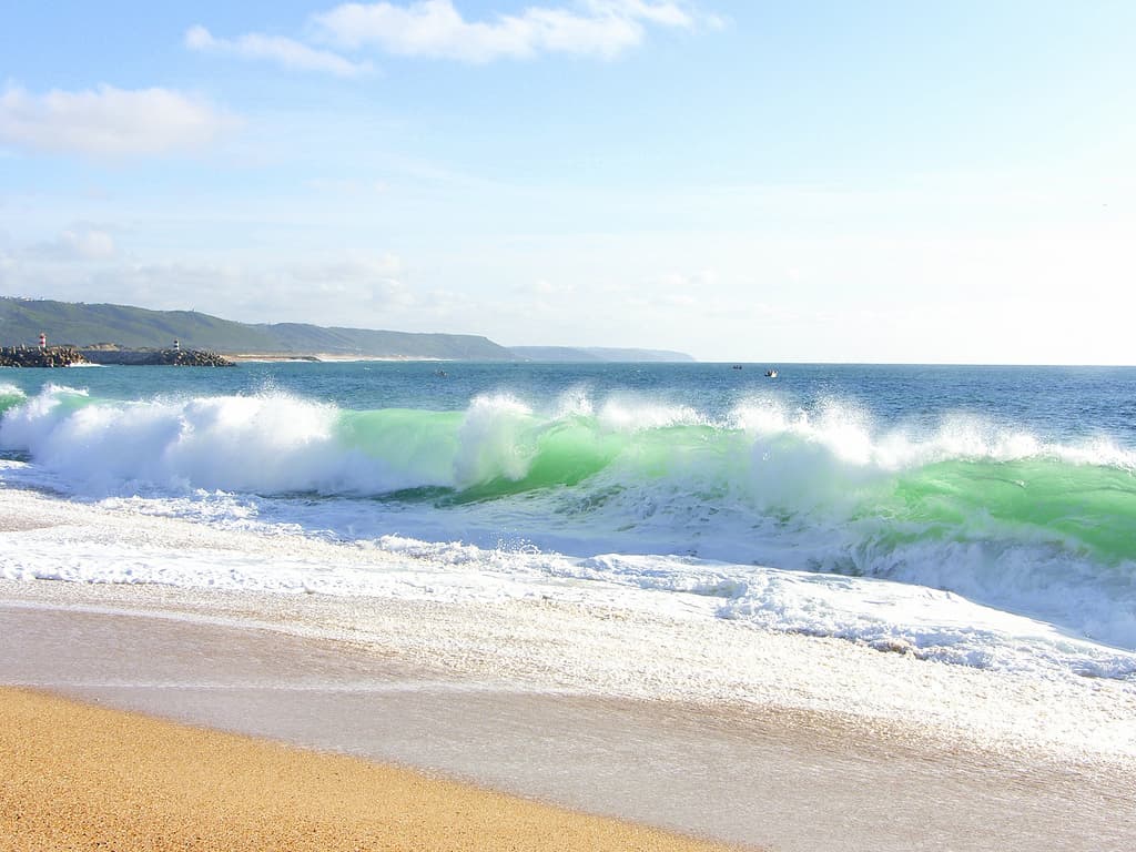 Newcastle Student Starts Business to Save World’s Oceans
