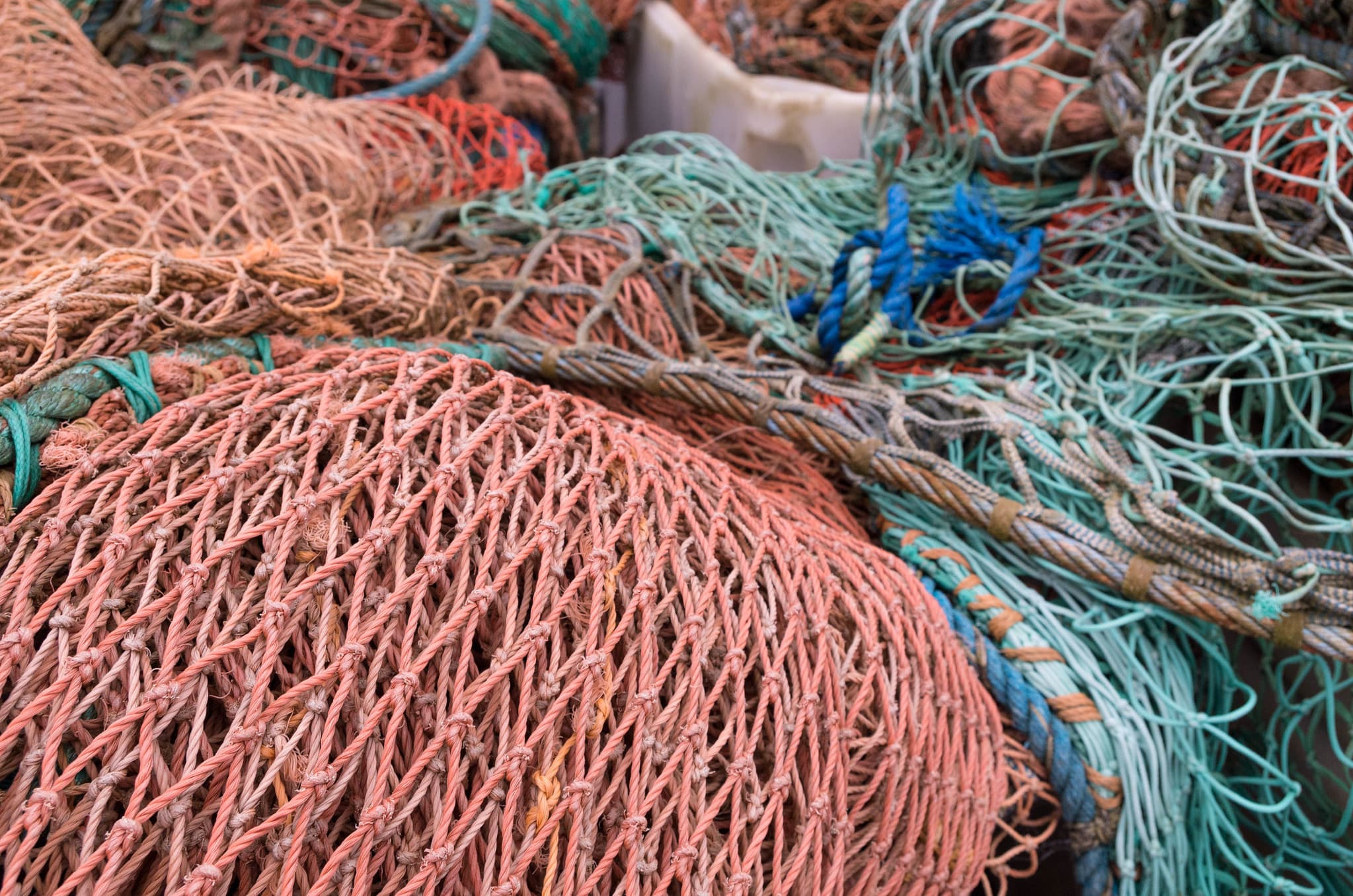 High-tech Acoustic Tags Could Tackle ‘Ghost’ Fishing Nightmare