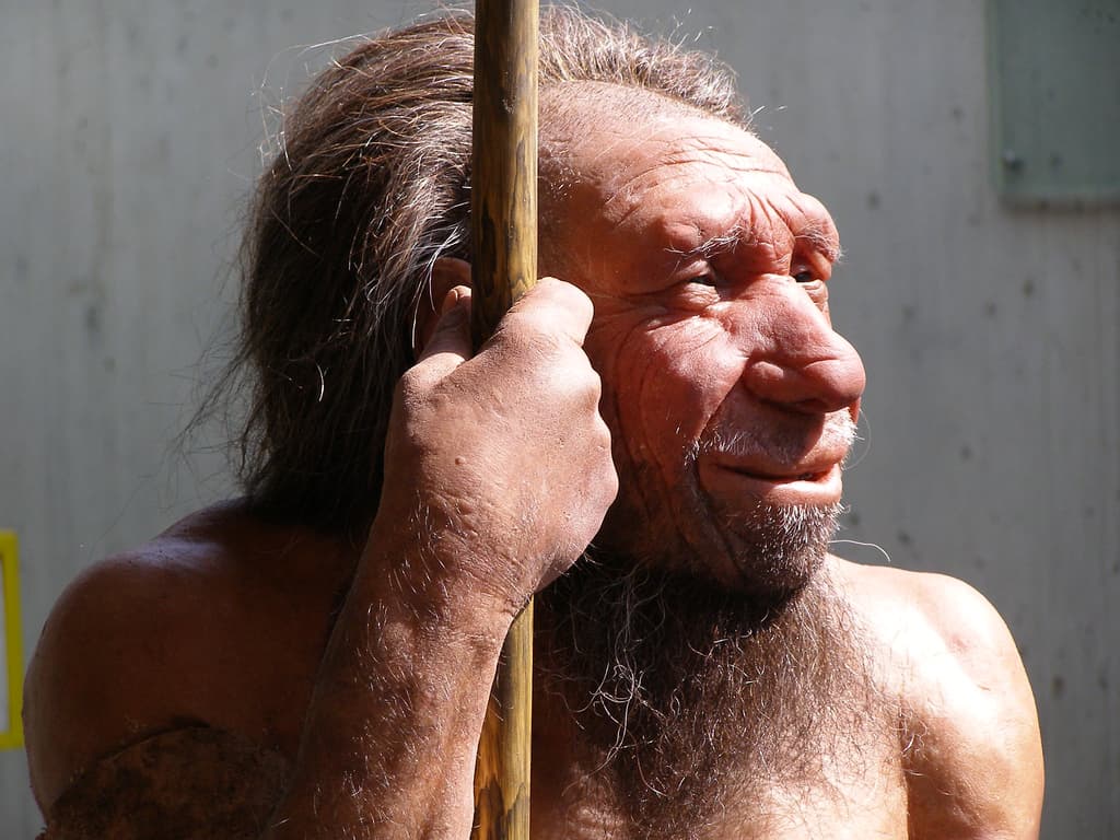 Climate Change May Have Killed Neanderthals, Newcastle Researchers Say