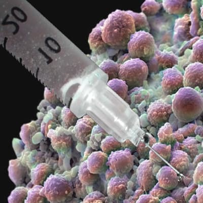 Newcastle Researchers Get £5 Million to Help Beat Cancer in Children