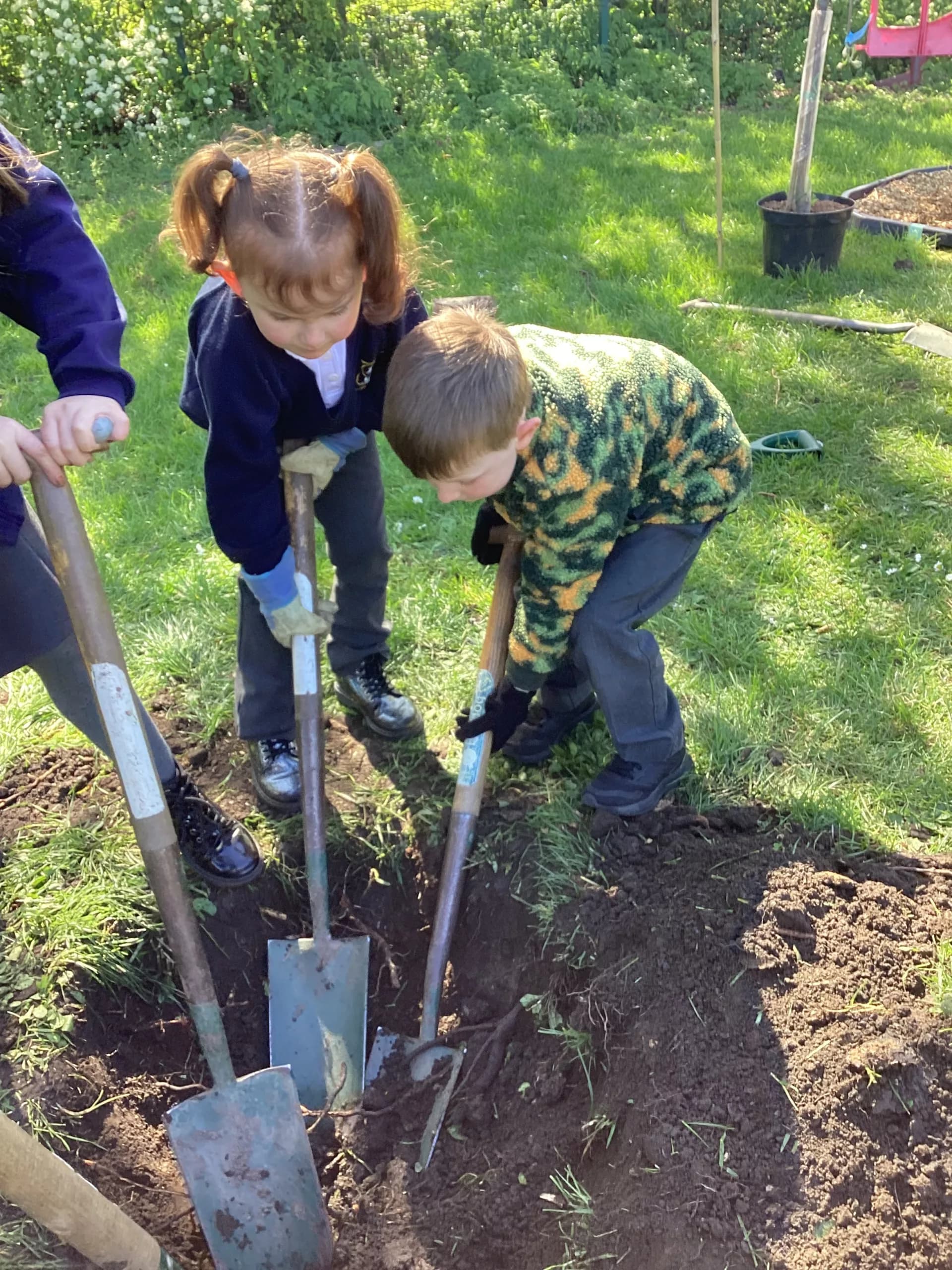 Pupils Bring Nature to Life with New Forest School Initiative