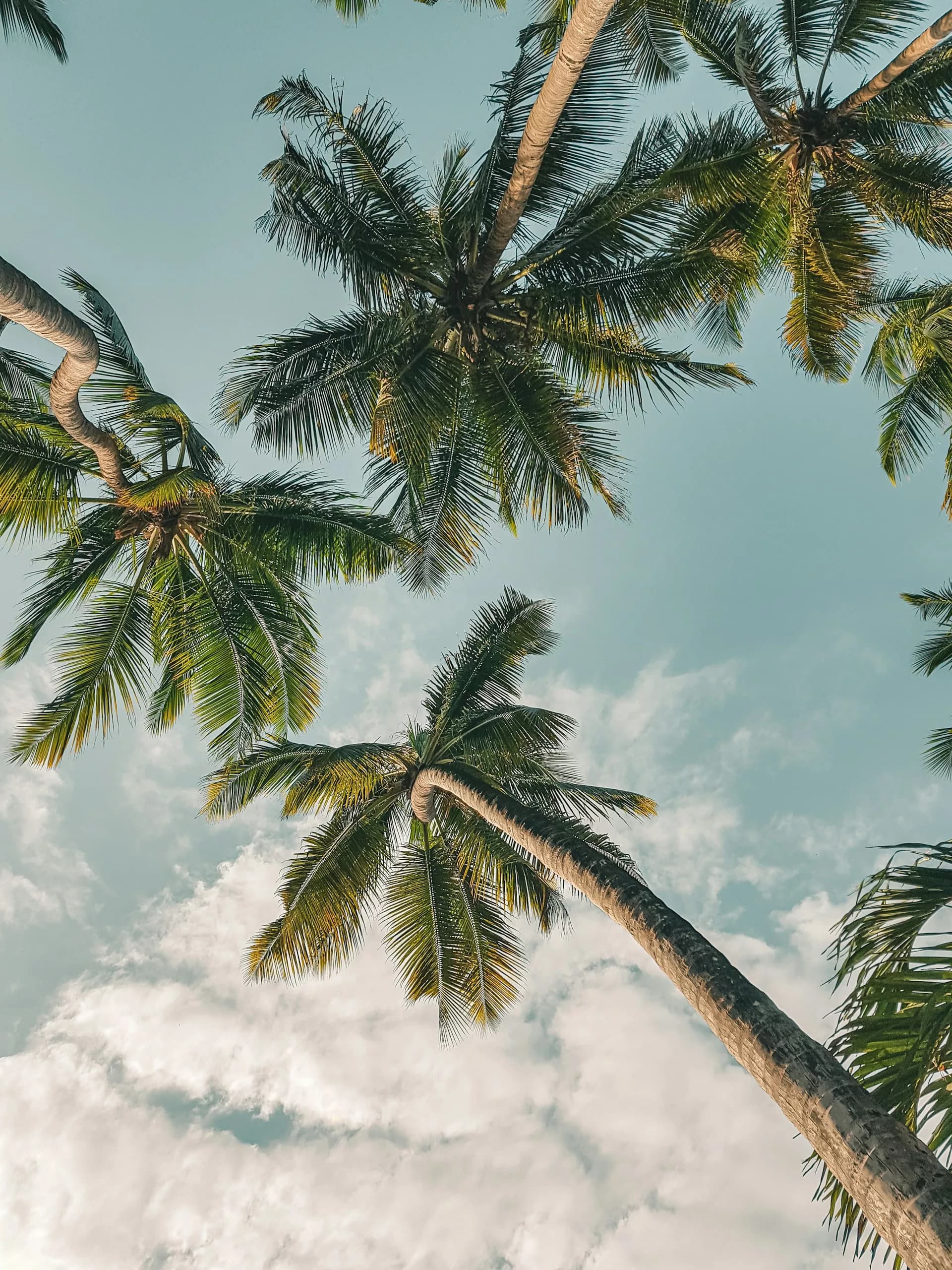 How to find the best holiday prices