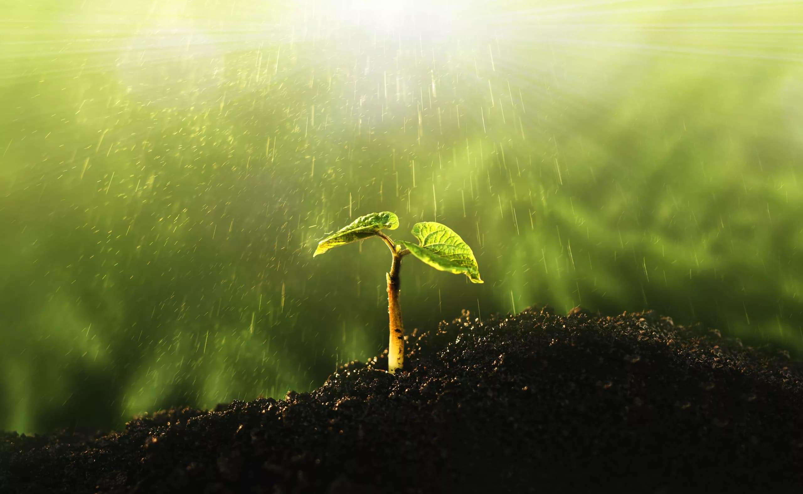 eDNA 101: Environmental DNA How The Technology Is Helping To Protect Our Planet?