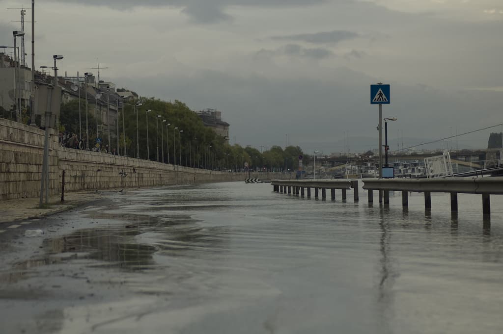 Newcastle Climate Change Expert Scoops International Honour