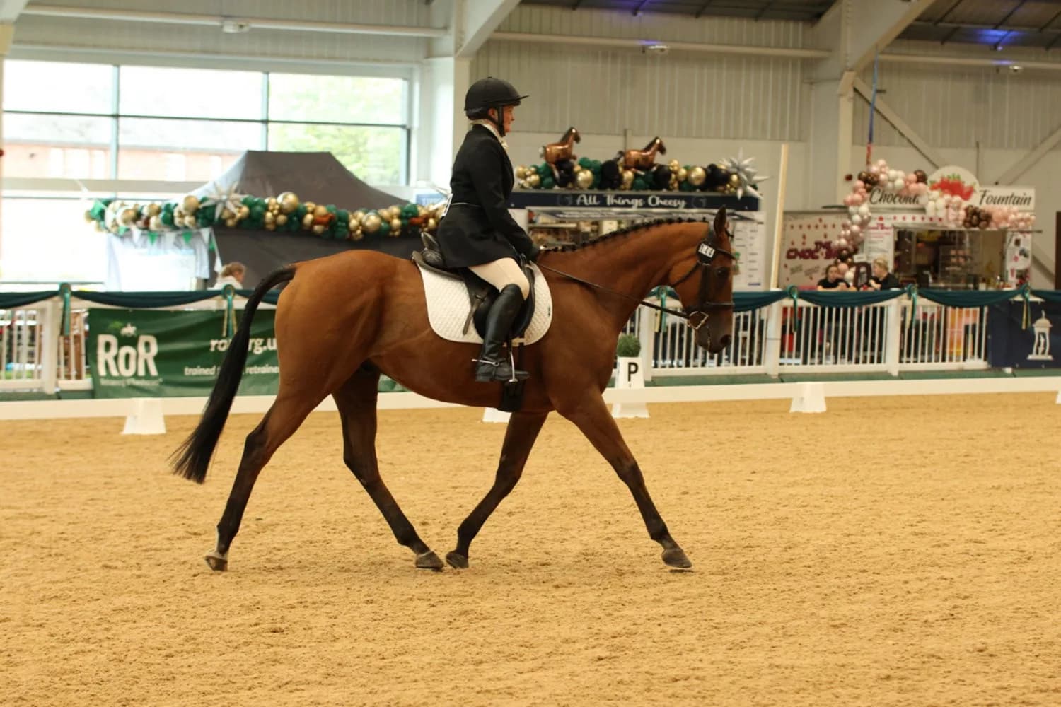 Northumberland Ex-Racehorse Anythingtoday Heads to RoR Championships