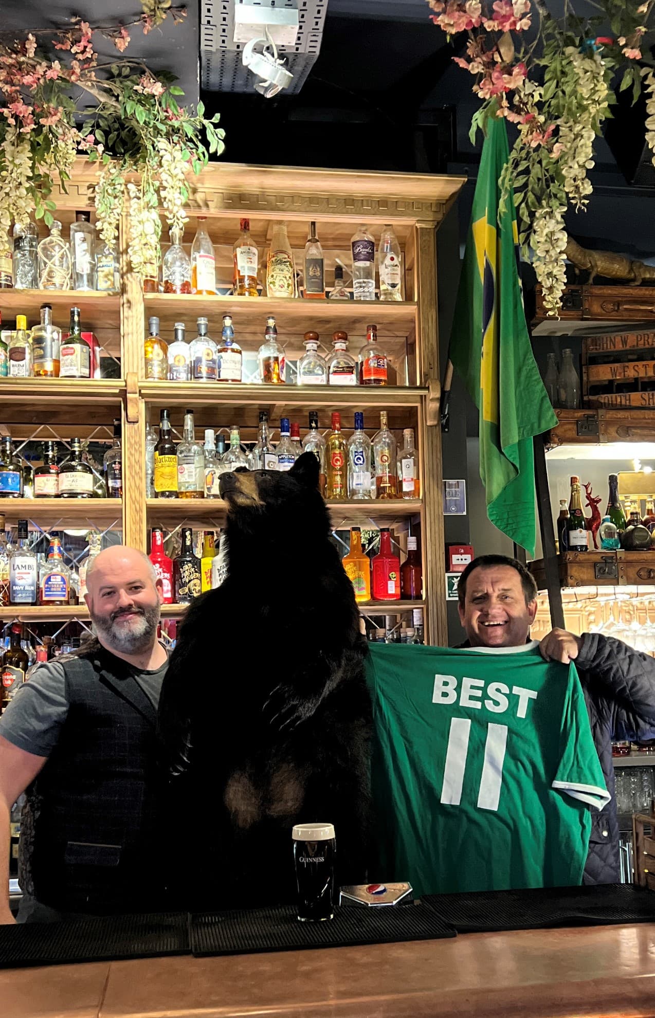 Herbert The Travelling Bear Comes Home…