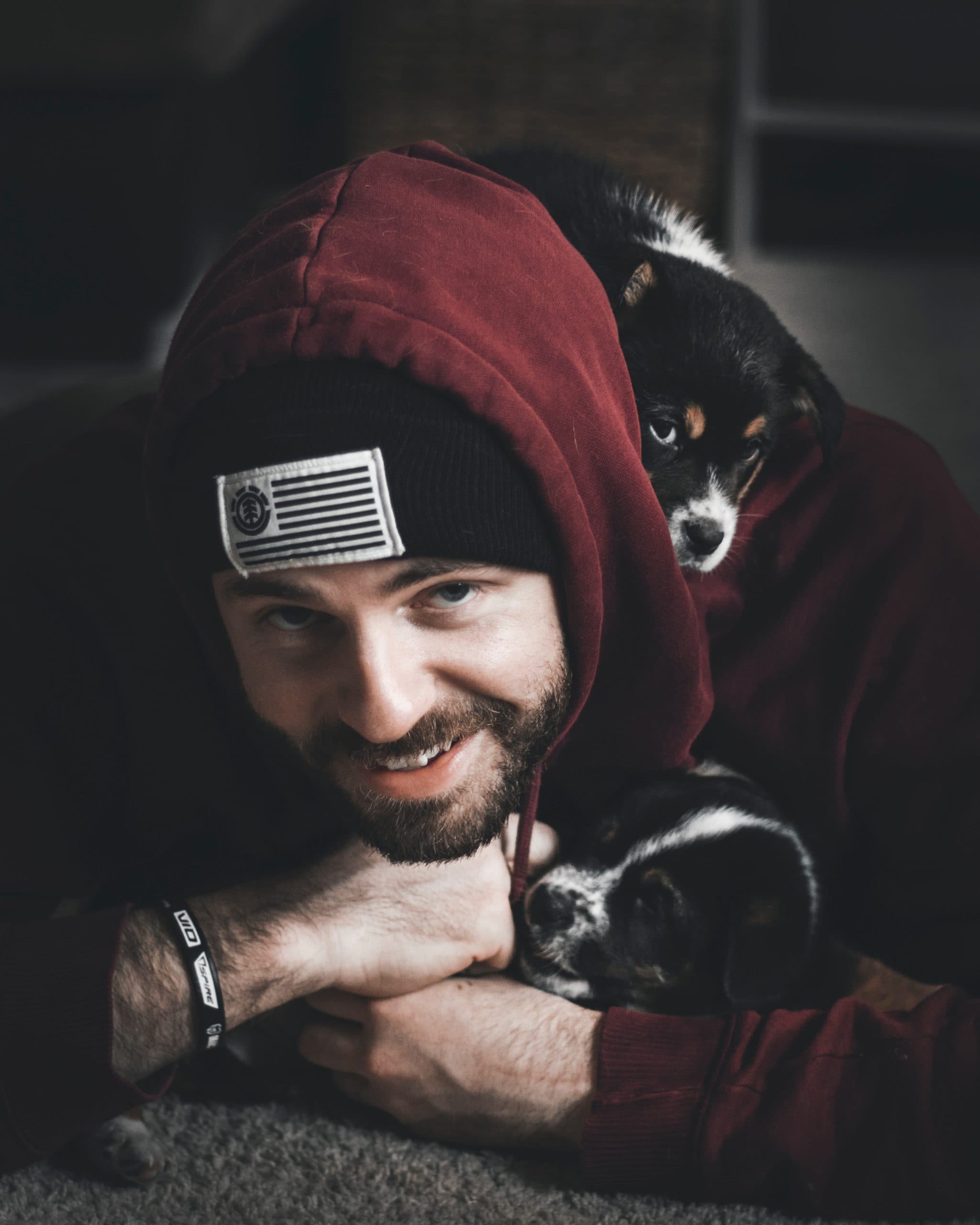 Student Accommodation Using Puppy Power to Combat Exam Stress