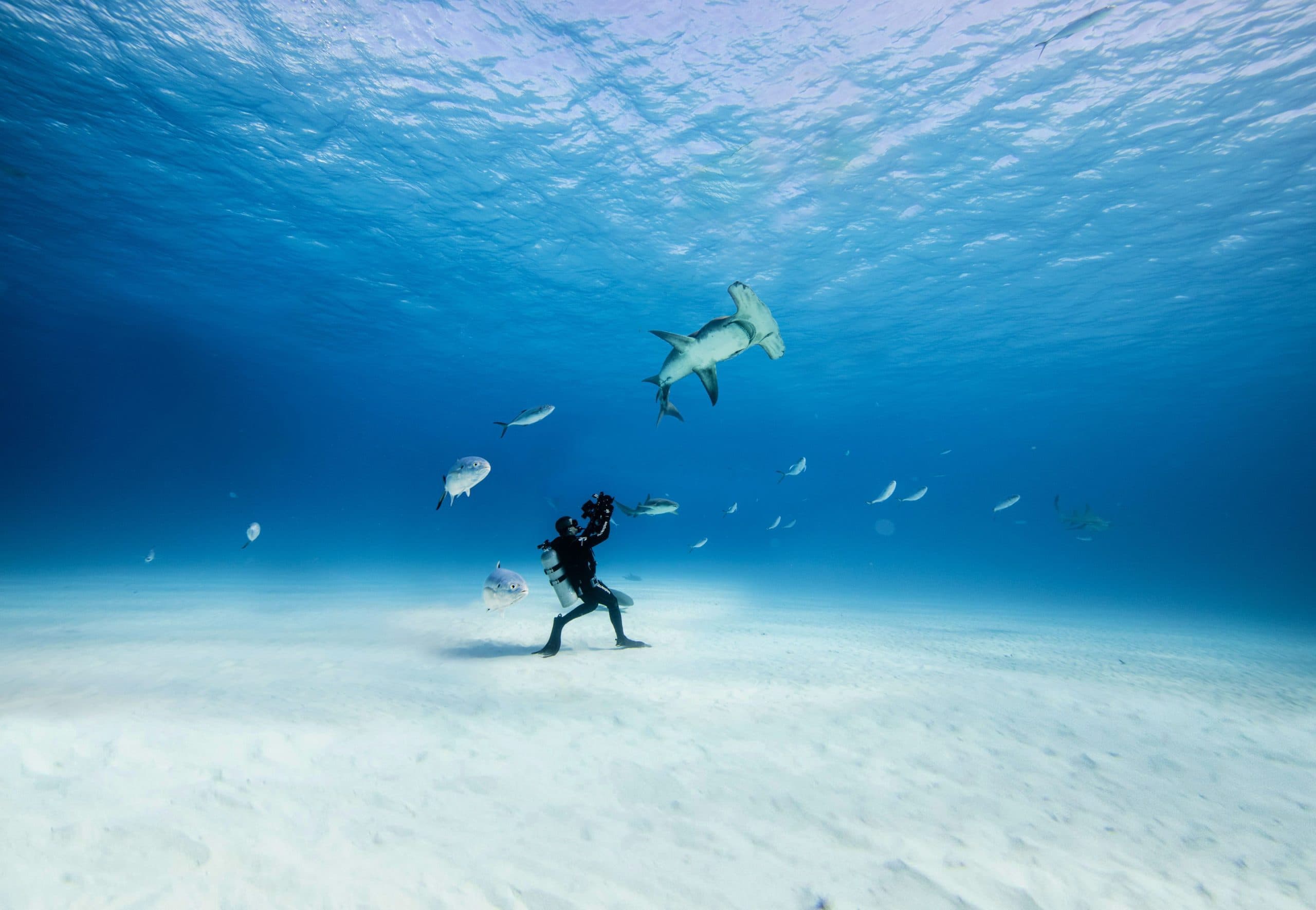 Brand New Short Film At This Year’s Ocean Film Festival!