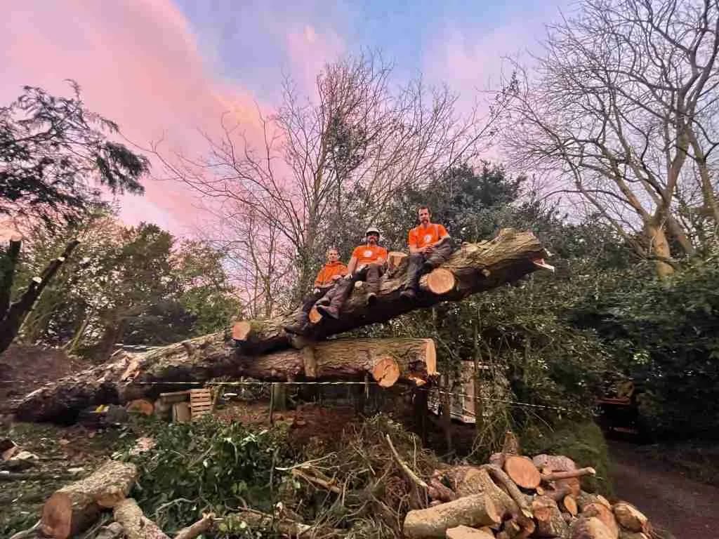 South Shields Tree Surgeons Celebrate Ten Years in Business