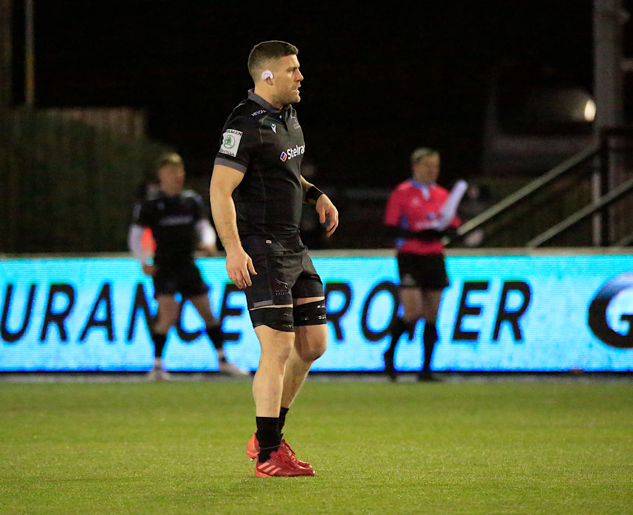 Newcastle Falcons Captain Mark Wilson Retires from Rugby