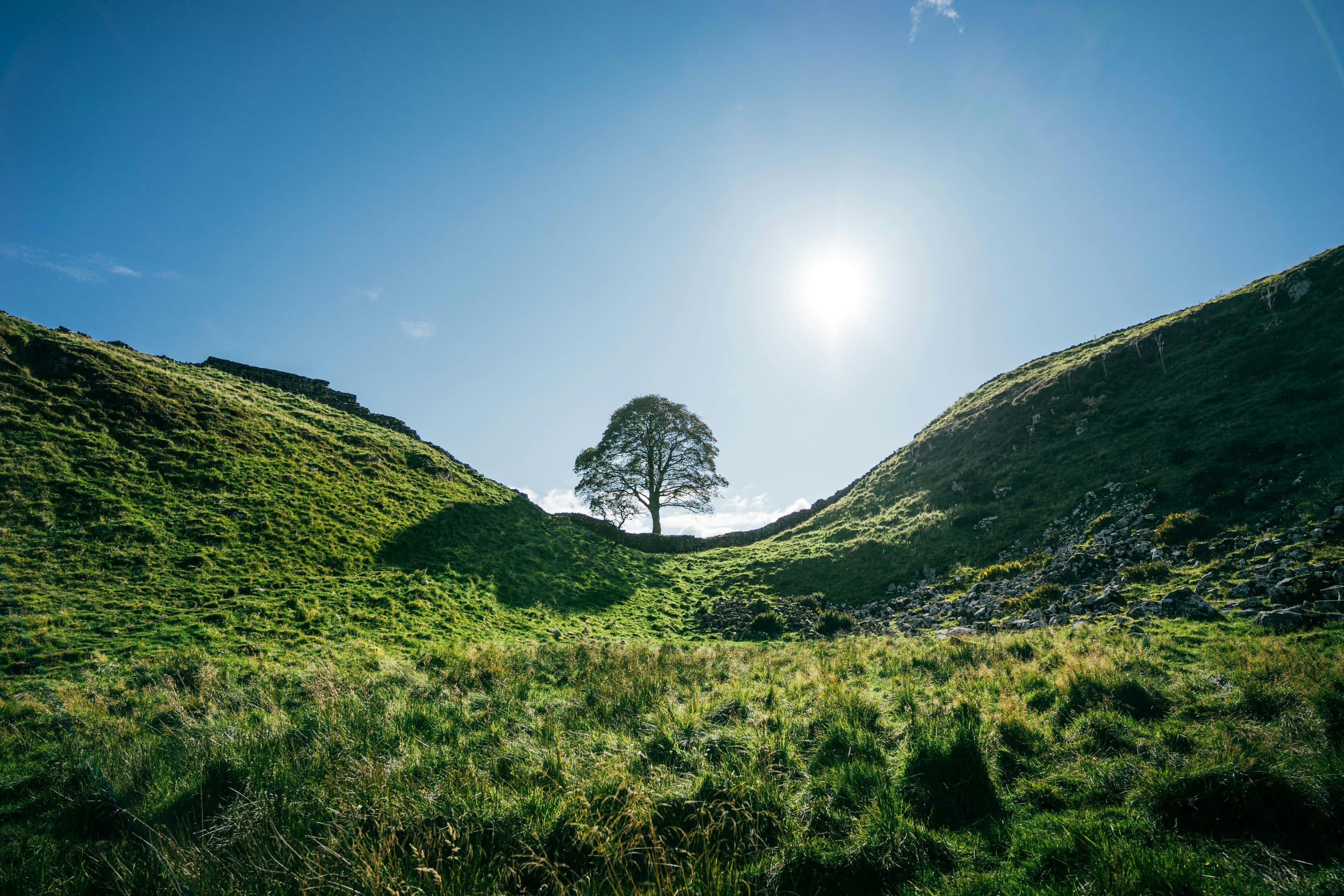 Newcastle’s Lighthouse Project Named ‘Tree of Hope’ Recipient