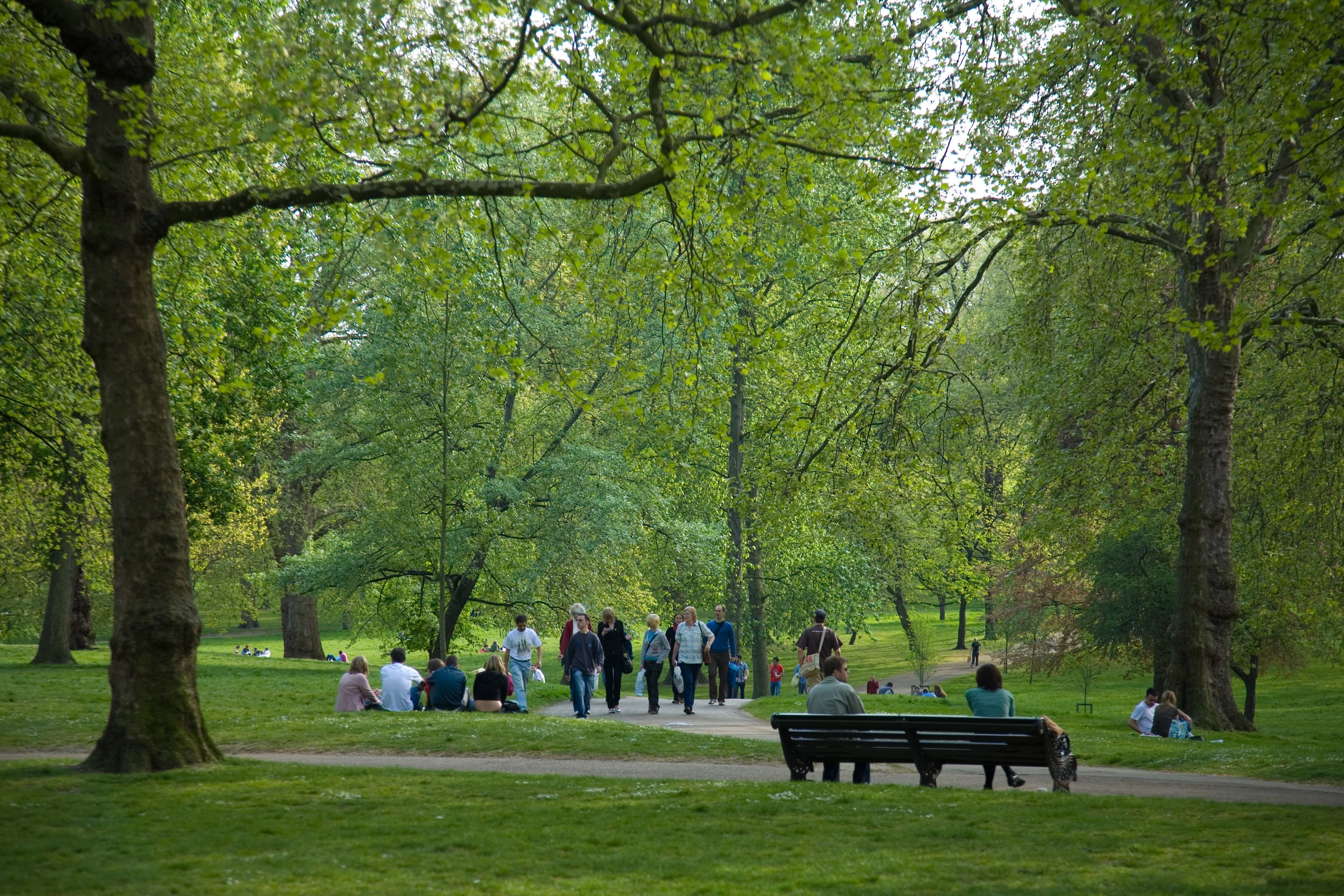 Twitter Discussions to Help Shape Future of Newcastle Parks