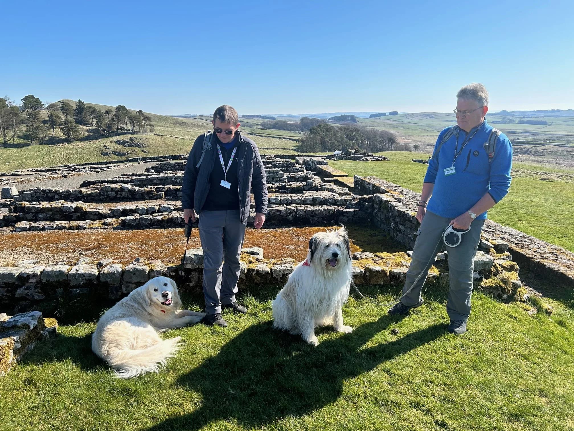 National Trust Seeks Volunteers (and Their Dogs) for Hadrian’s Wall
