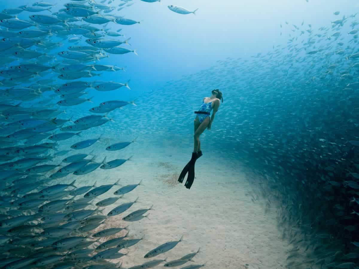 Ocean Film Festival World Tour Coming to Whitley Bay