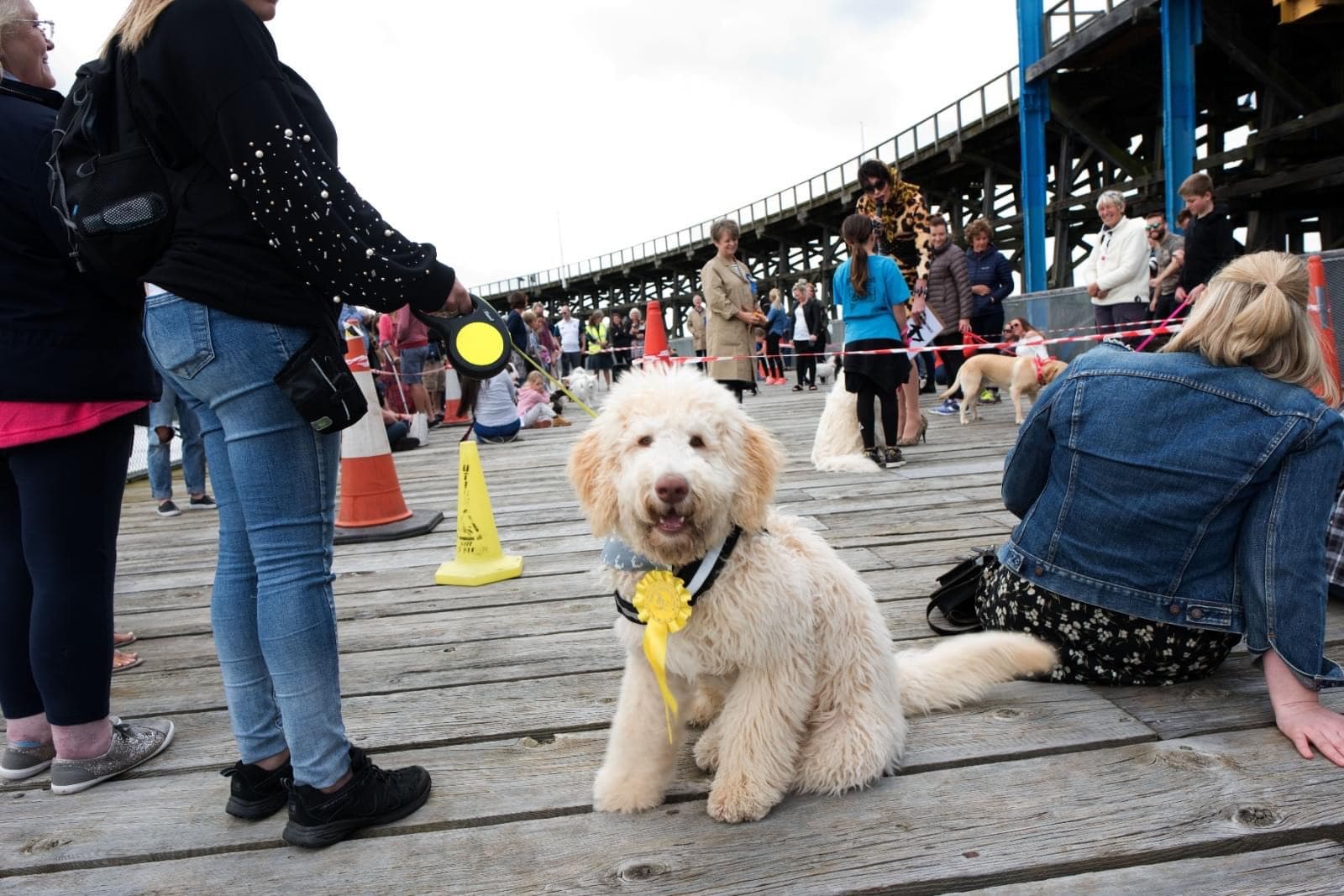 The Dunston Staiths dog show returns!