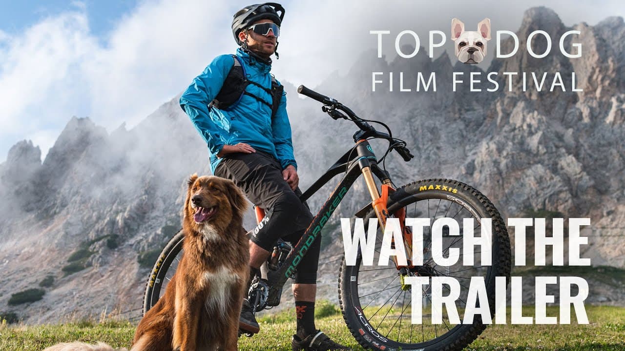 The Top Dog Film Festival Returns This April Celebrating The Human-Dog Companionship