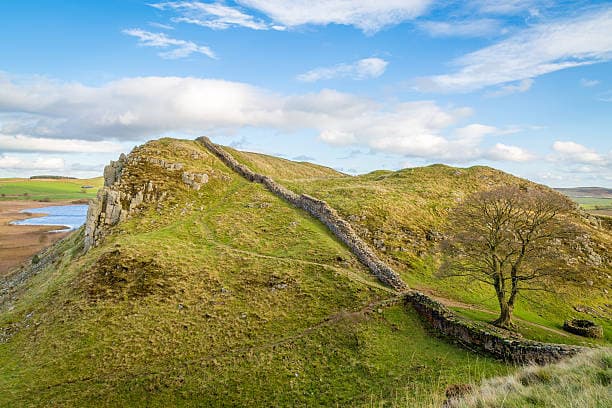 NEECCo Encouraging The North East With The Aim To Become England’s Greenest Region
