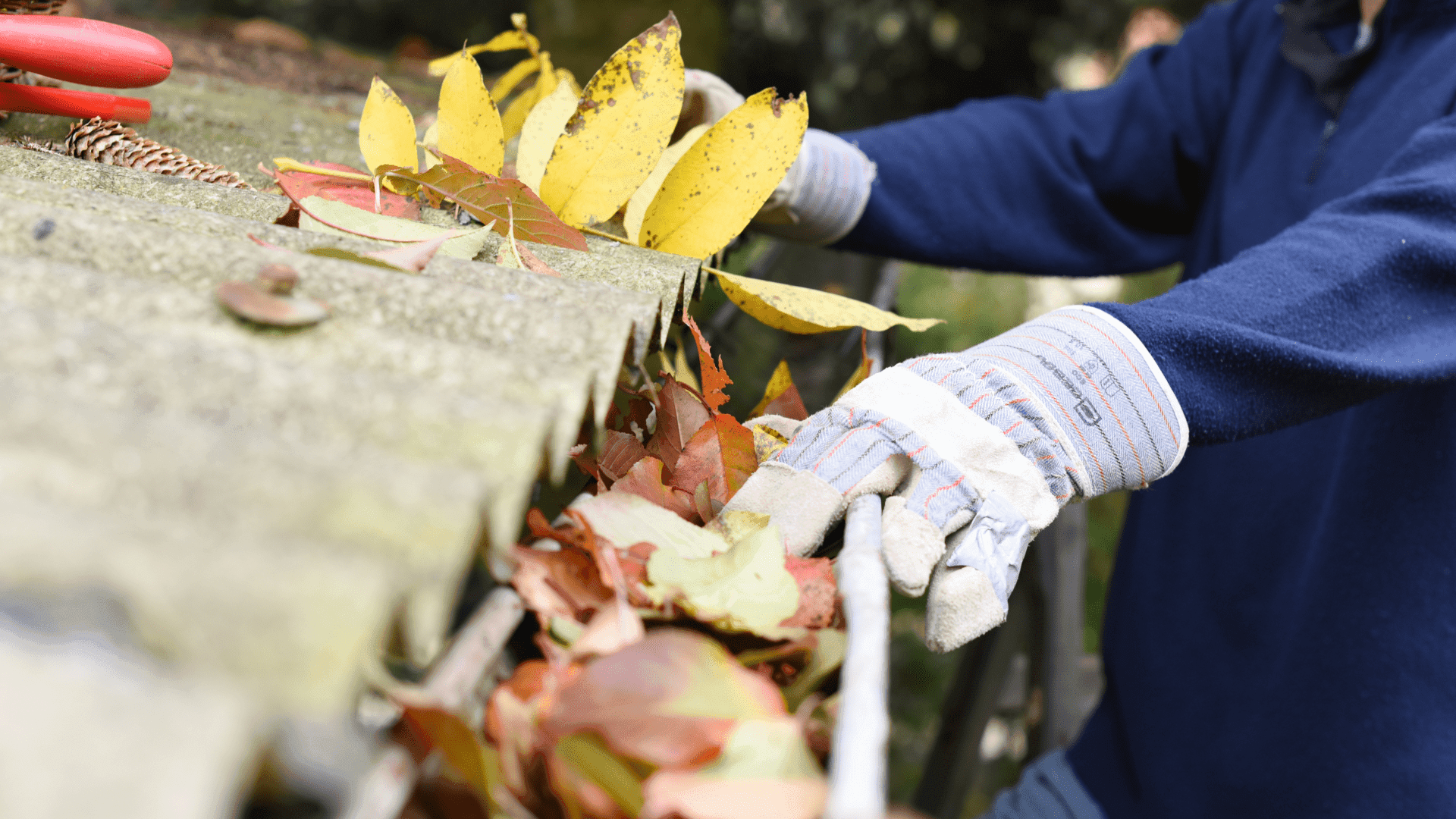Best Gutter Cleaning Company in Newcastle upon Tyne