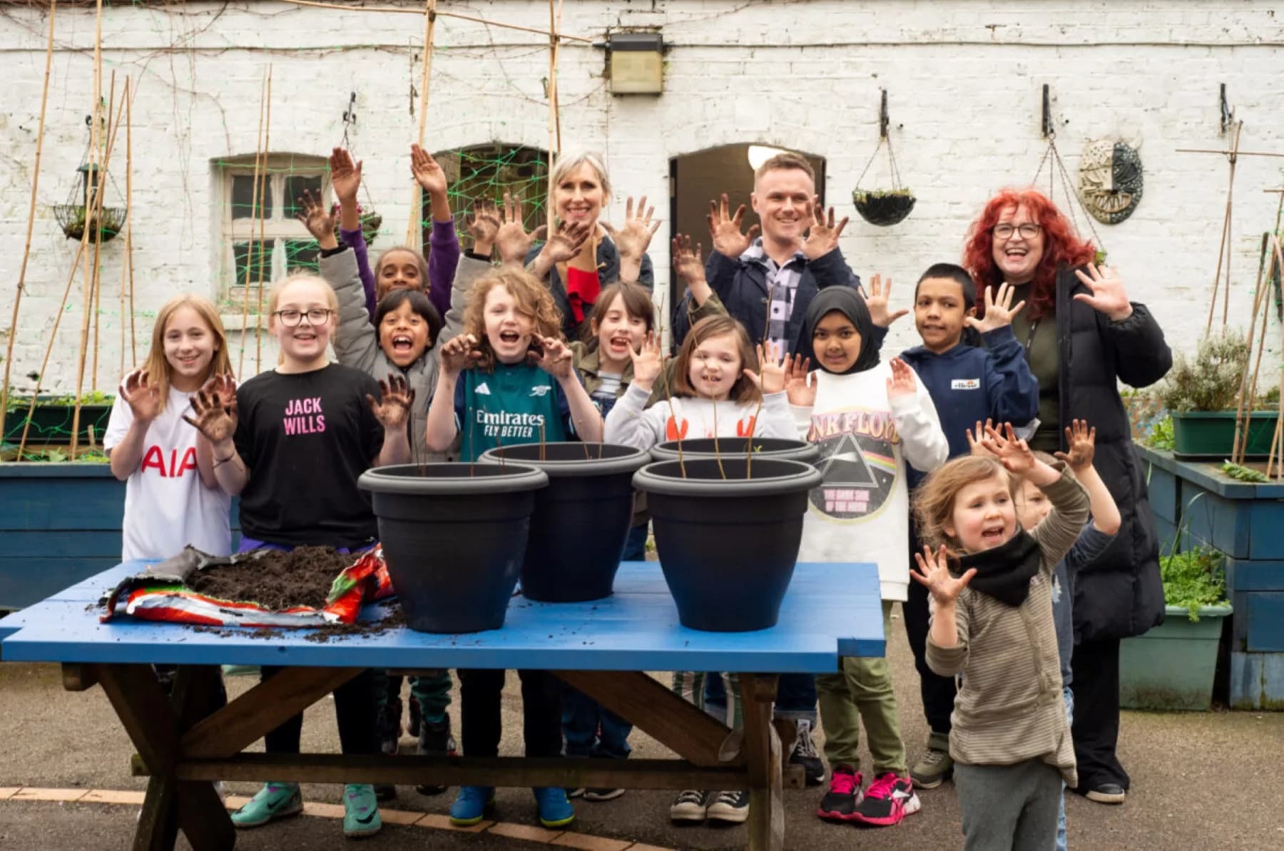 Join the Tree-Planting Movement: Woodland Trust’s Free Trees Scheme Closing Soon