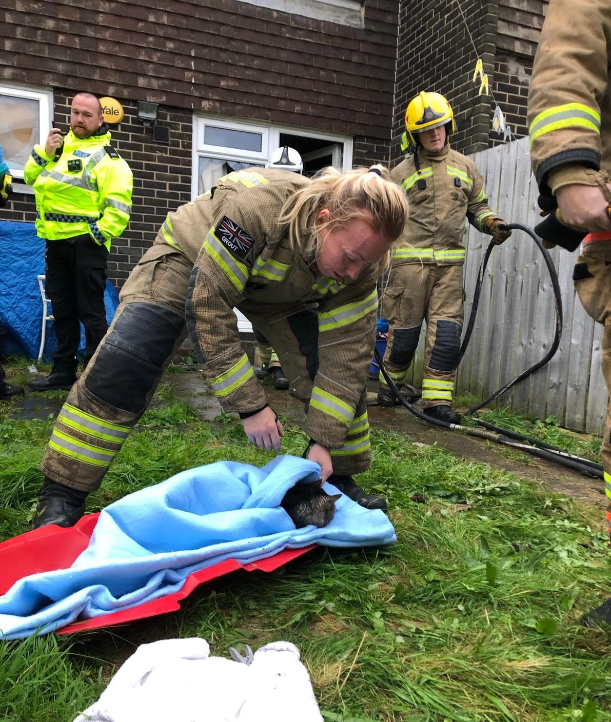 Firefighters Resuscitate ‘Lucky’ Cat After Jarrow House Fire