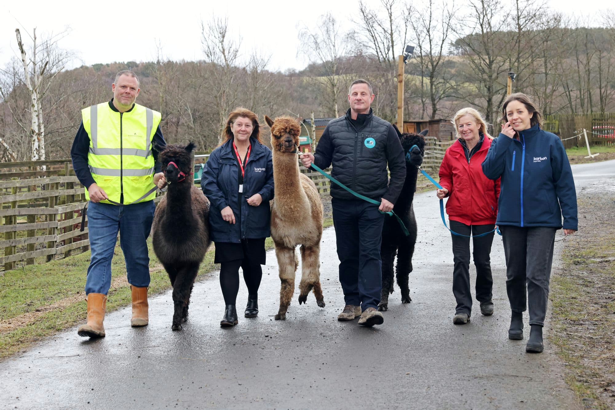 North East Charity Receives Christmas Boost to Support Animal Therapy Work