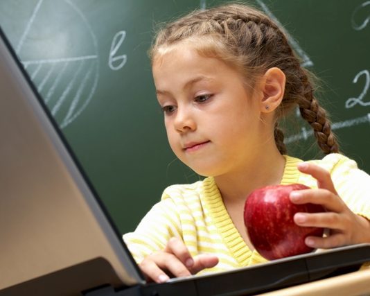 North East Schools to Face Budget Cuts and Lose Teachers Portrait of schoolgirl attentively looking at her laptop.