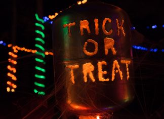 Newcastle Trick or Treaters to Aid Foodbank this Halloween trick or treat