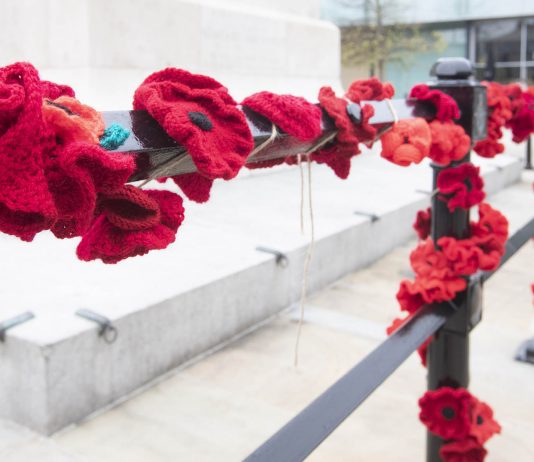 Tribute to Armed Forces and Veterans As We Remember and Reflect