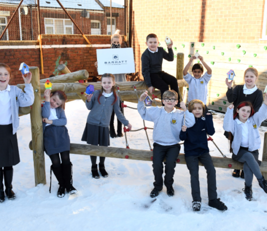 Barratt Homes Partners St Patrick's Primary To Build Home For Local Bird Wildlife