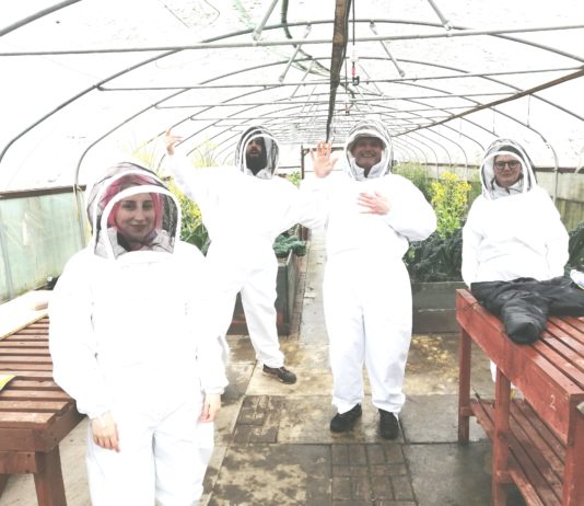Beekeeping Community Project Launches In North Tyneside