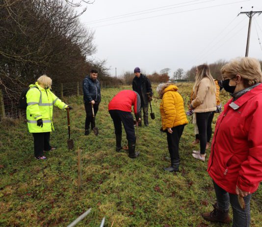Planting Trees In Memory Of Loved Ones In The North East
