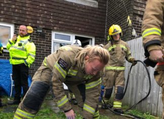 Firefighters Resuscitate ‘Lucky’ Cat After House Fire