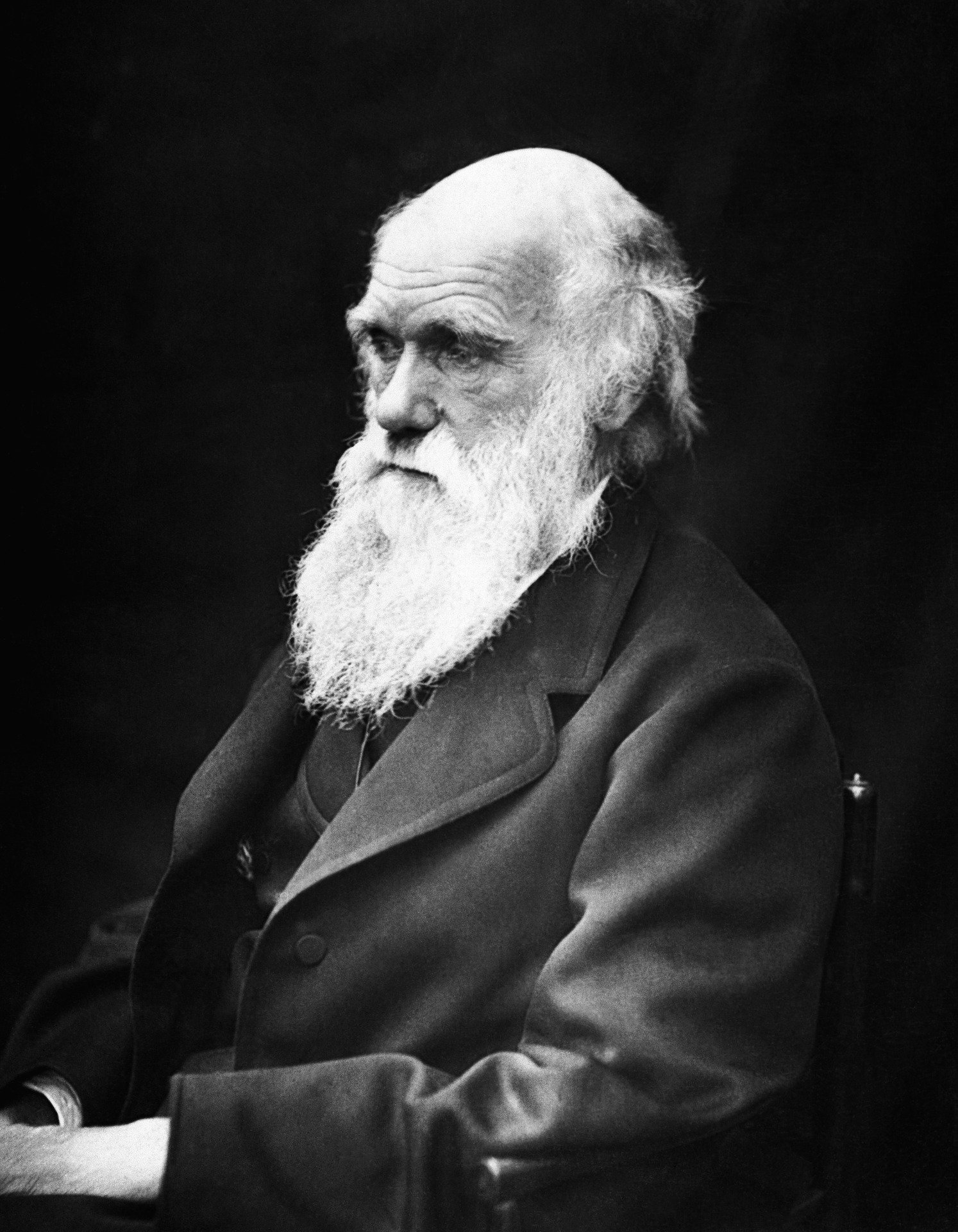 Darwin, the scientist who rocked our world