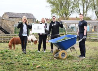 Employees from Local Housebuilder Take a Paws from Their Screens to Volunteer at Newcastle Animal Shelter