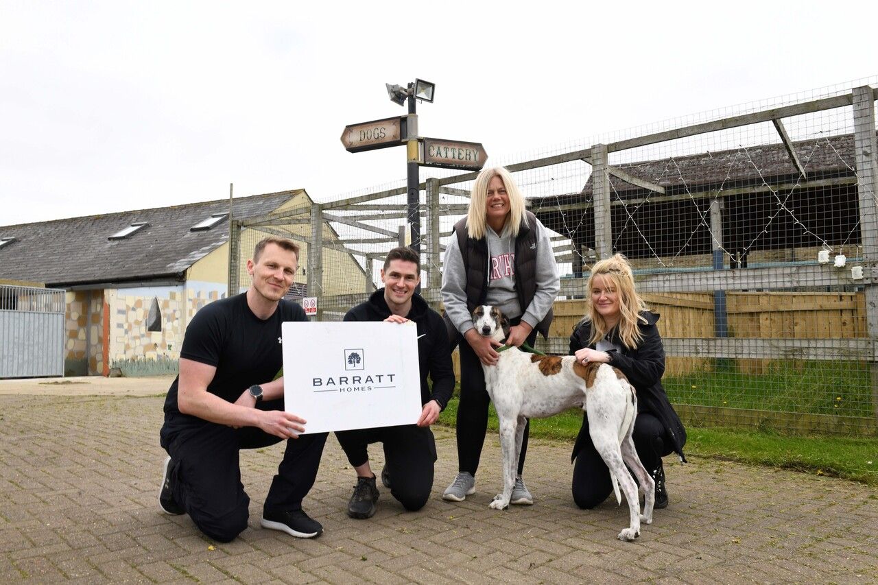 Employees from Local Housebuilder Take a Paws from Their Screens to Volunteer at Newcastle Animal Shelter