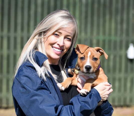 Andrea Wylie Takes on voluntary position at Newcastle Dog & Cat Shelter