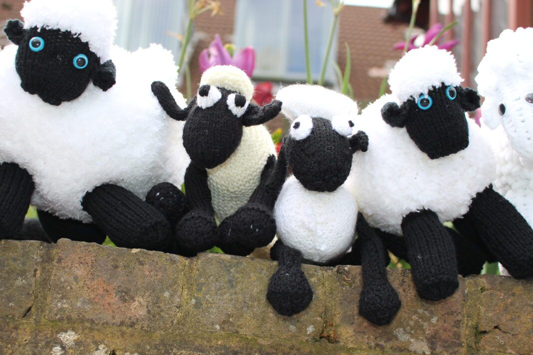 Knitting Enthusiasts Unleash Their Creativity: Crafting Shaun the Sheep Toys for a Charitable Cause