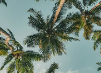 How to find the best holiday prices How to find the best holiday prices