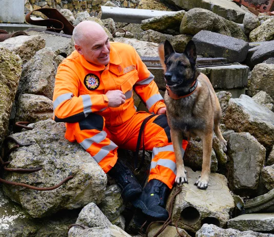 Honouring a Hero: USAR Dog Frankie Retires After Six Years of Service Honouring a Hero: USAR Dog Frankie Retires After Six Years of Service