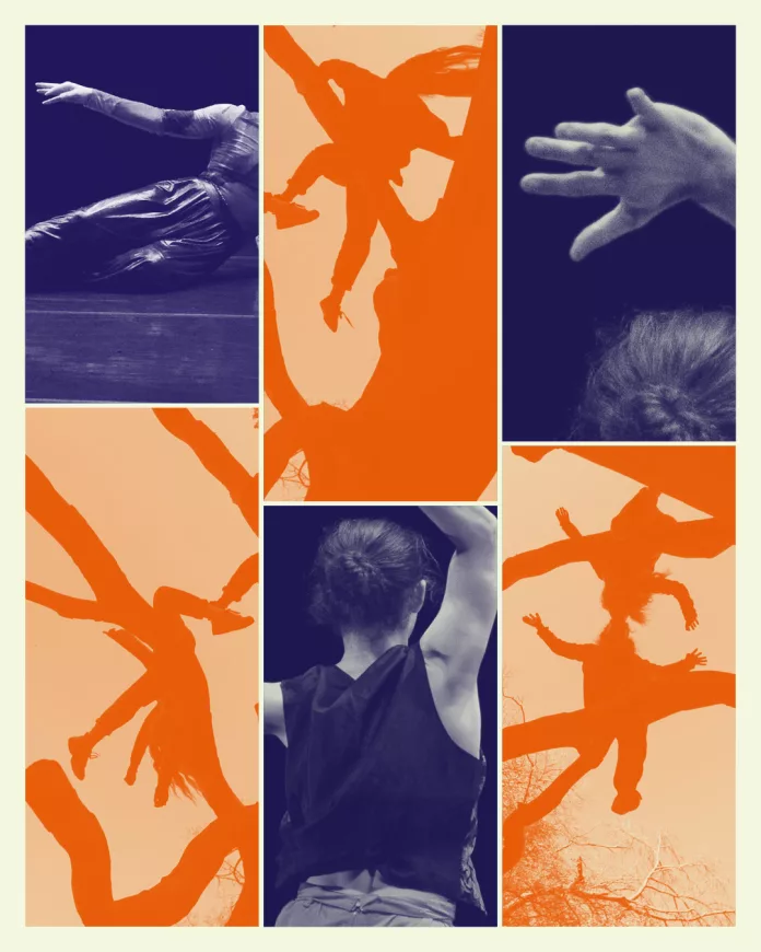 The Harvest: A New Dance Festival Blooms in Newcastle