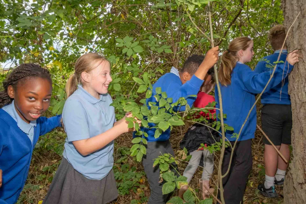 Newcastle Pupils Embrace Outdoor Learning with St Alban’s New Forest School