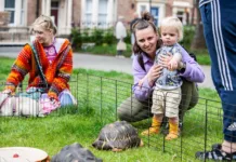 YMCA North Tyneside’s Picnic in the Park Returns to North Shields This June YMCA North Tyneside’s Picnic in the Park Returns to North Shields This June