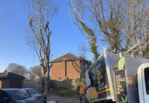 South Shields Tree Surgeons Celebrate Ten Years in Business South Shields Tree Surgeons Celebrate Ten Years in Business