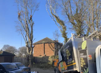 South Shields Tree Surgeons Celebrate Ten Years in Business South Shields Tree Surgeons Celebrate Ten Years in Business