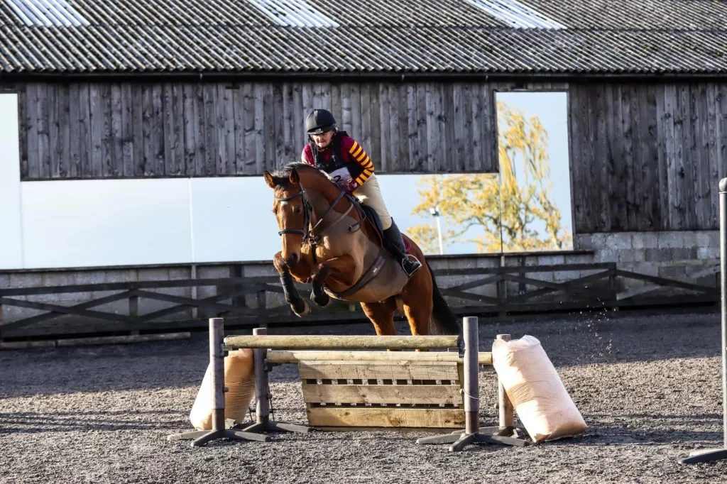 Northumberland Ex-Racehorse Anythingtoday Heads to RoR Championships