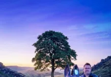 Hand-Painted Sycamore Gap Sculpture Among St Oswald’s Auction Lots Hand-Painted Sycamore Gap Sculpture Among St Oswald’s Auction Lots