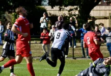 The Stan Return to Winning Ways with Home Victory The Stan Return to Winning Ways with Home Victory
