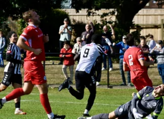 The Stan Return to Winning Ways with Home Victory The Stan Return to Winning Ways with Home Victory